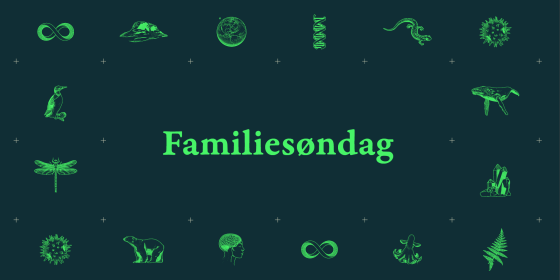 grønn grafikk på blå bakgrunn: Familiesøndag + ikoner i grønt av dyr og objekter