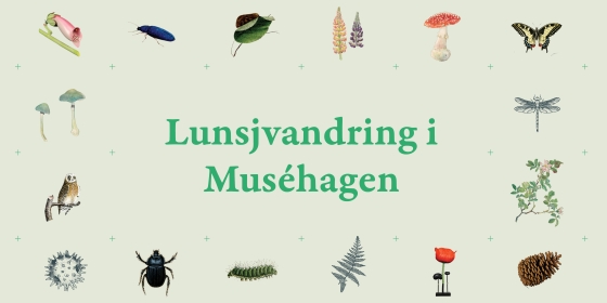 lunsjvandring i musehagen lysgrønn med hage relaterete ikoner 