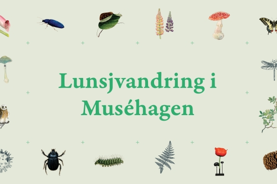 lunsjvandring i musehagen lysgrønn med hage relaterete ikoner 