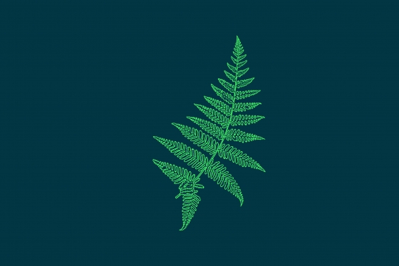 Bregne illustrasjon