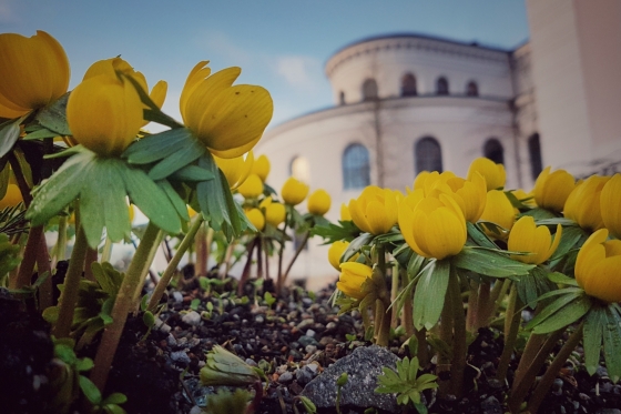 Universistetsmuseet stengt