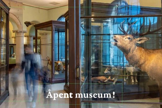 ÅpentMuseumMars2021