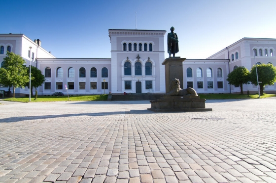 The University Museum