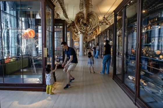 VIKTIG AKTØR - Bilde fra Universitetsmuseet