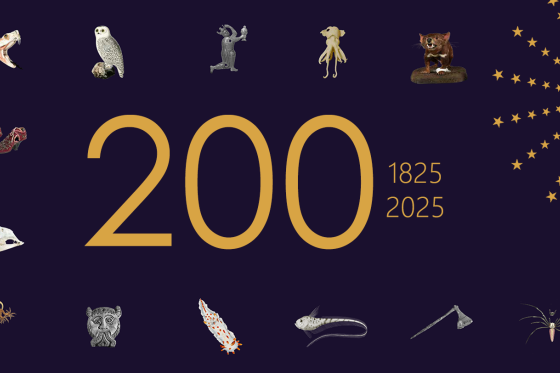 Jubileum 200 år