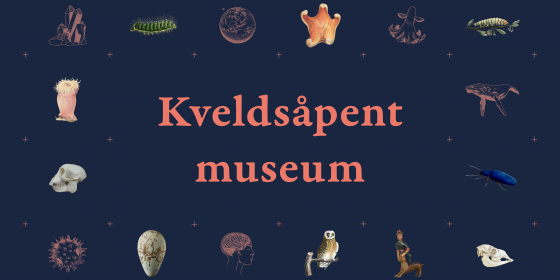 Kveldsåpnet museum