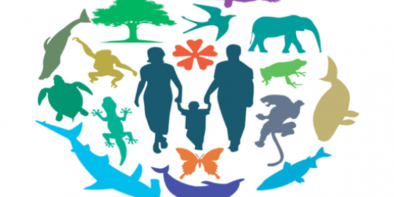 Systematics Forum Seminar Series