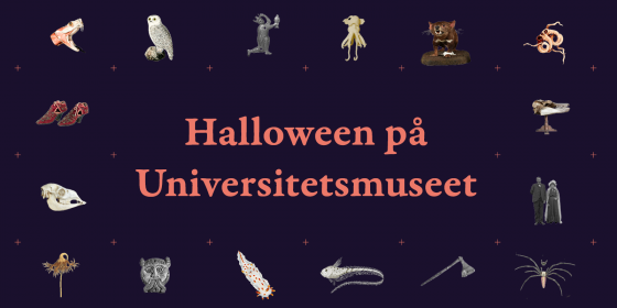 Halloween på Universitetsmuseet