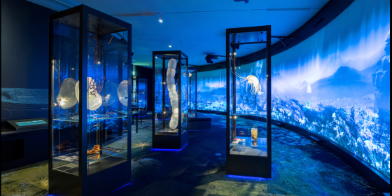 The deep sea exhibition