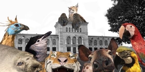 Mange av dyrene på museet omkranser museet på utsiden