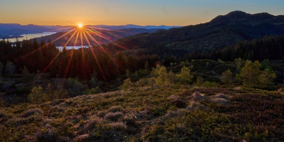 landskap i solnedgang