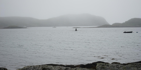 A rock in the port of the isle of Coll, Scotland, looks like it could be a shark fin in the morning mist