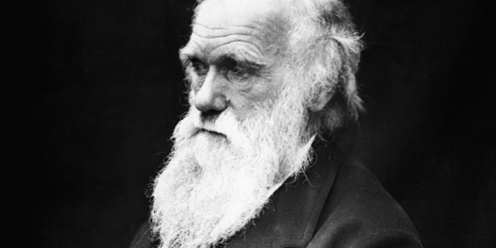 Stilisert portrett av Charles Darwin fra museets utstilling Ei verd av mangfald.