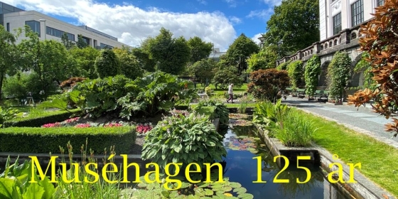 Muséhagen 125 år