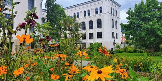blomster i Muséhagen museet i bakgrunnen