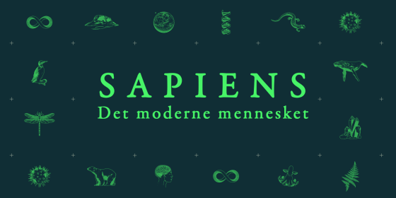 Sapiens arrangement