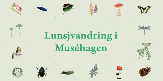 lunsjvandring i musehagen lysgrønn med hage relaterete ikoner