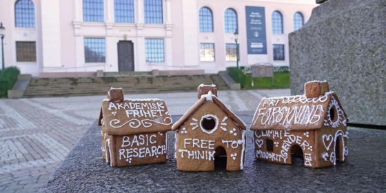 Akademisk pepperkakeby