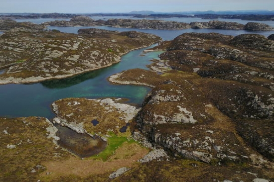 Tverrfaglig forskning