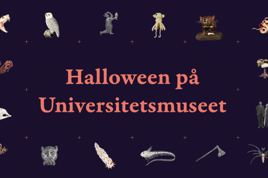 Halloween på Universitetsmuseet