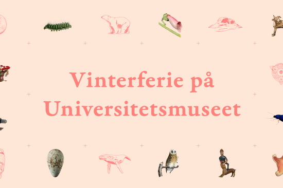 Vinterferie på museet