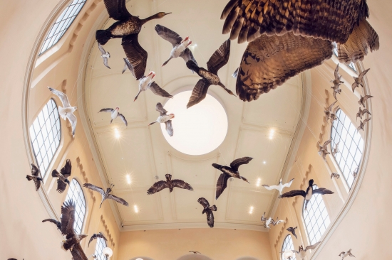 The birds, in the main staircase birds are suspended from the ceiling, giving the impression they are flying in the sky