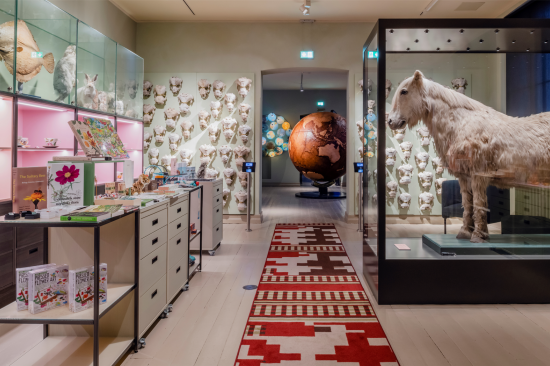 The Museum Shop 