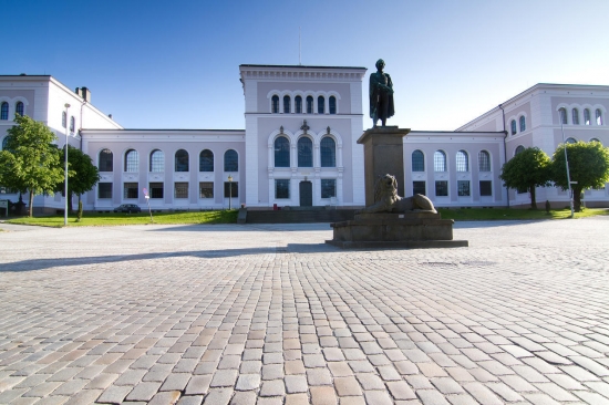 The University Museum