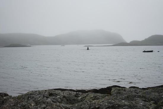 A rock in the port of the isle of Coll, Scotland, looks like it could be a shark fin in the morning mist