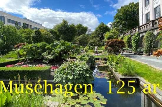 Muséhagen 125 år