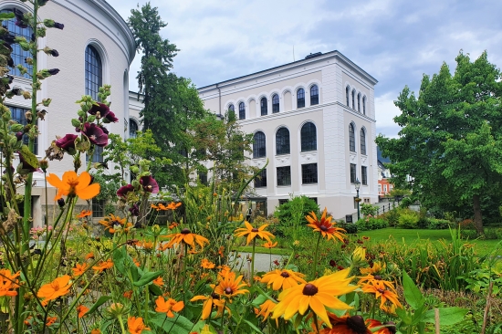 blomster  i Muséhagen museet i bakgrunnen