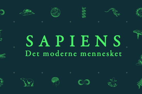 Sapiens arrangement