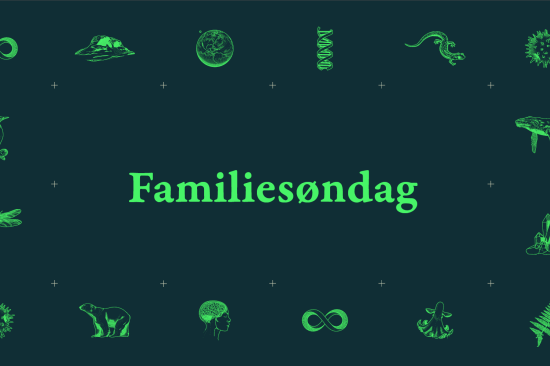 grønn grafikk på blå bakgrunn: Familiesøndag + ikoner i grønt av dyr og objekter
