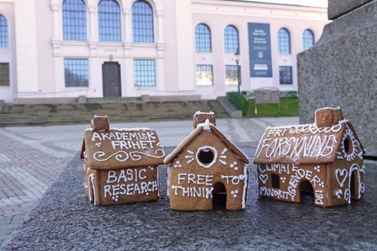 Akademisk pepperkakeby