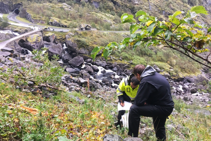 UM årbok 2018 Innsaming frø i en rasmark
