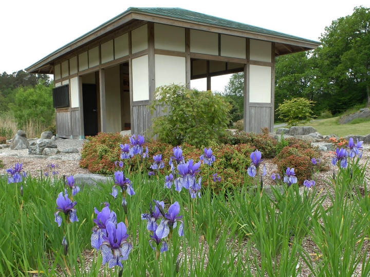 Blomster i forgrunnen og tepaviljongen i bakgrunnen