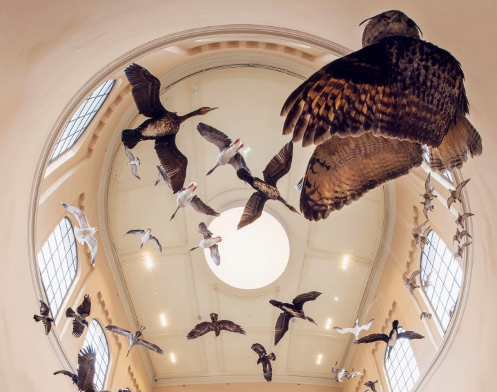 The birds, in the main staircase birds are suspended from the ceiling, giving the impression they are flying in the sky
