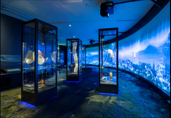 The deep sea exhibition