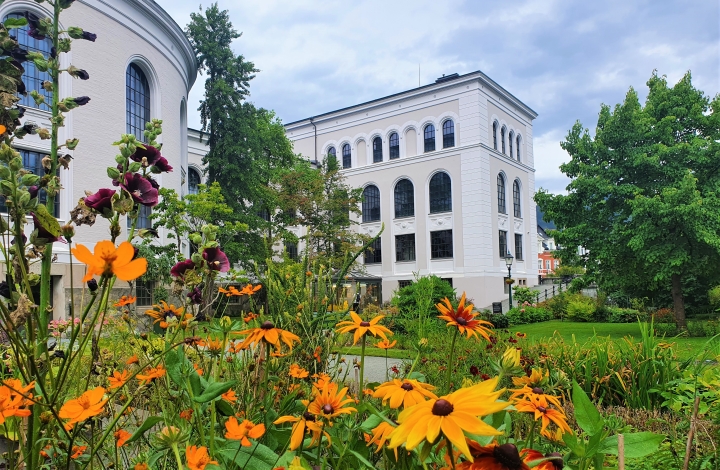 blomster i Muséhagen museet i bakgrunnen