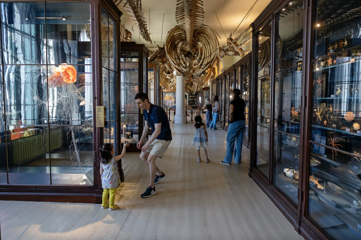 VIKTIG AKTØR - Bilde fra Universitetsmuseet