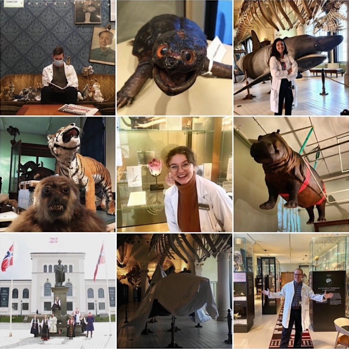 Museet